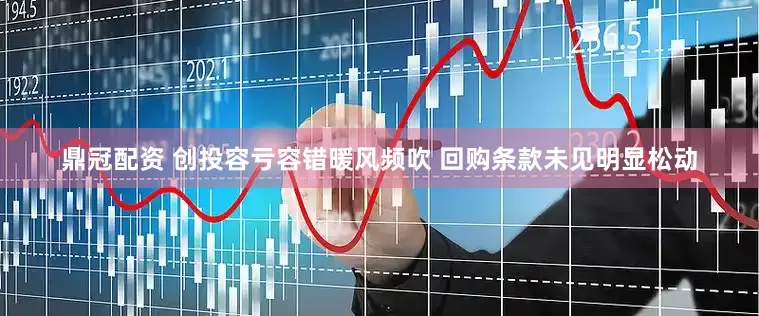 鼎冠配资 创投容亏容错暖风频吹 回购条款未见明显松动